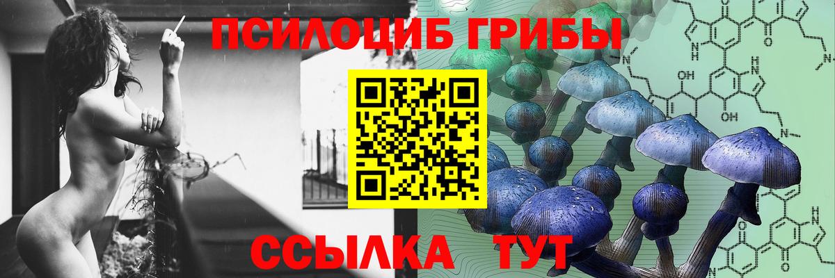 Россия  где найти наркотики  Псилоцибиновые грибы прущие грибы  Вход с VPN  Галлюциногенные грибы Psilocybe 